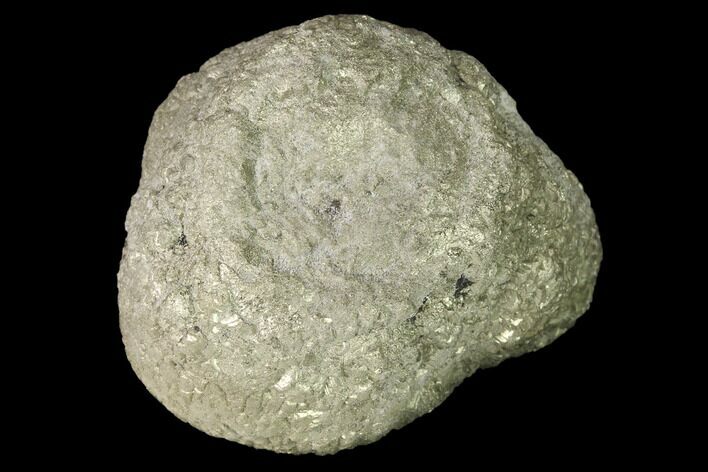 Natural Pyrite Concretion - China #142985